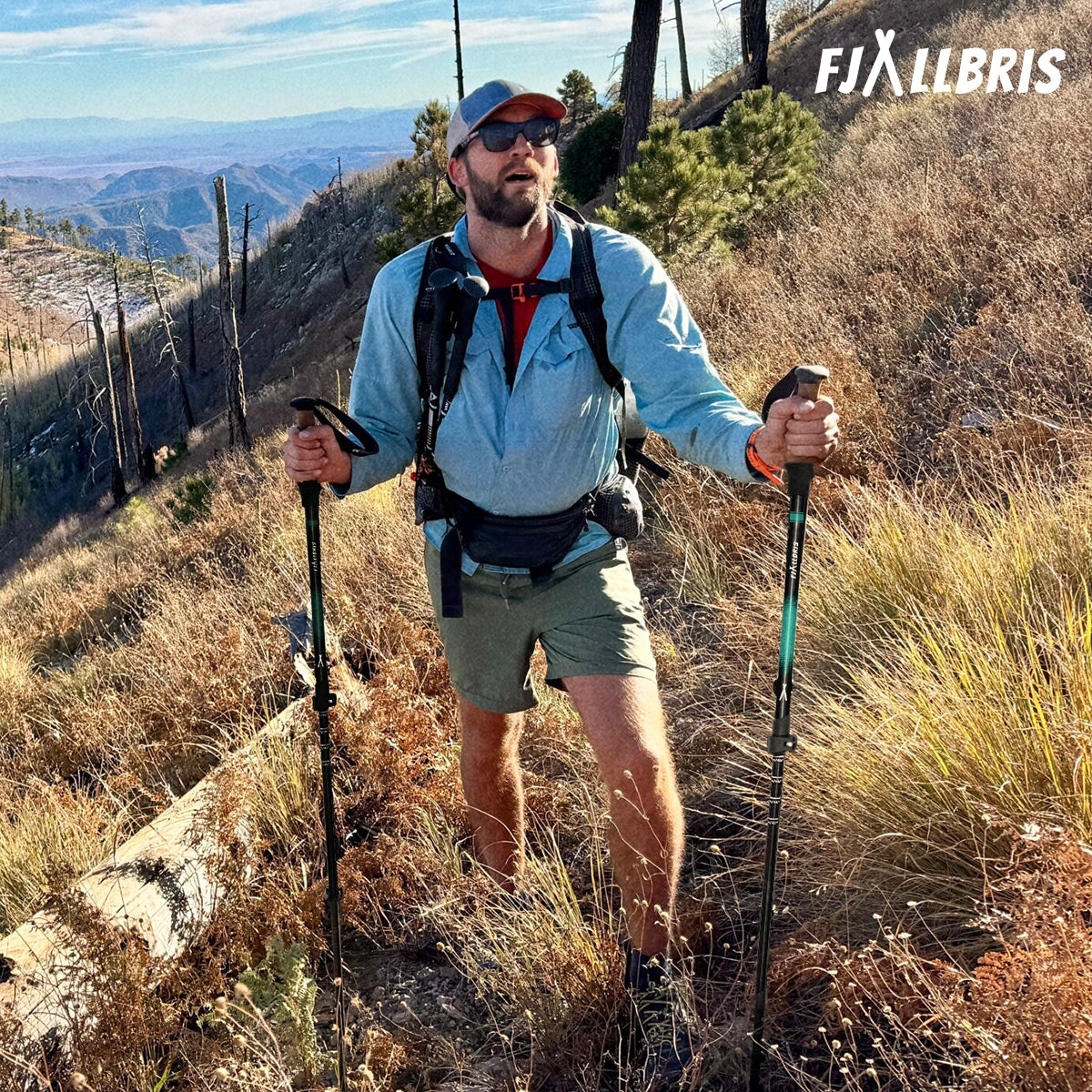 Ultralette Vandrestave